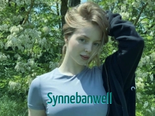 Synnebanwell