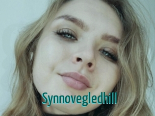 Synnovegledhill