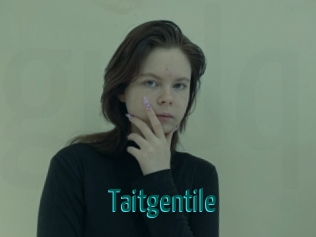 Taitgentile