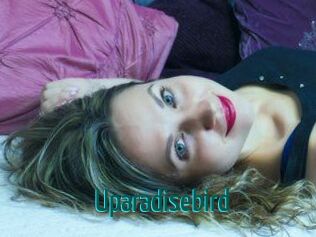 Uparadisebird