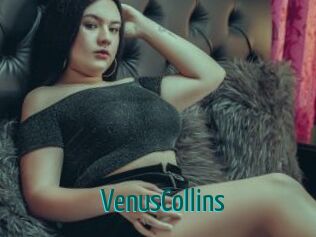 VenusCollins