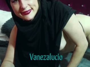 vanezalucio Guide du Queutard