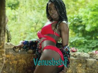 Venusbsbq