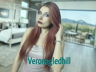 veronagledhill Guide du Queutard