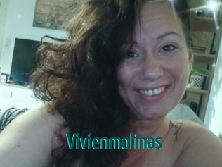 Vivienmolinas