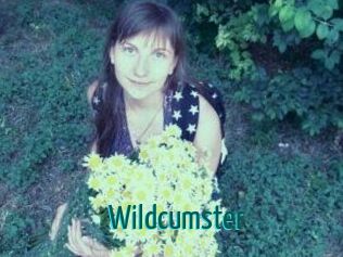 Wildcumster
