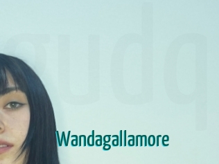 Wandagallamore