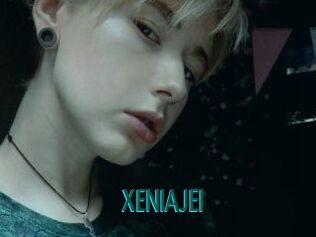 XENIA_JEI