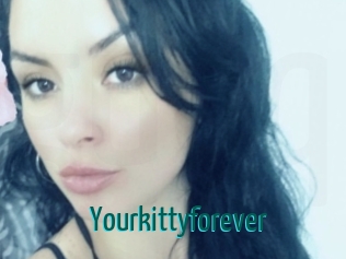 Yourkittyforever