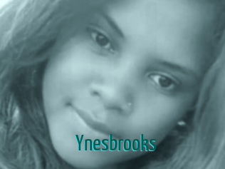 Ynesbrooks