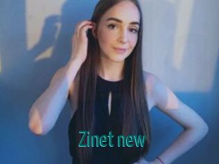 Zinet_new